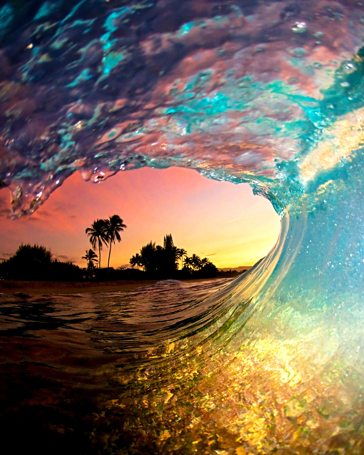 Sector 9 x Clark Little Reconnect