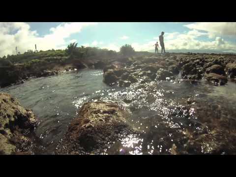 DOWNHILL DIVISION HAWAII 2011: PART 2