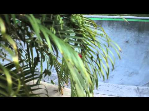 MEET OUR FRIENDS BILLY & JON