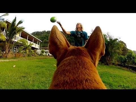 GAVIN GETS COSMIC…