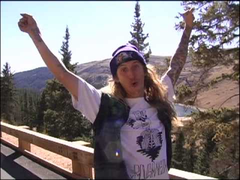 OUR GULLWING BROTHERS ATTACK COLORADO