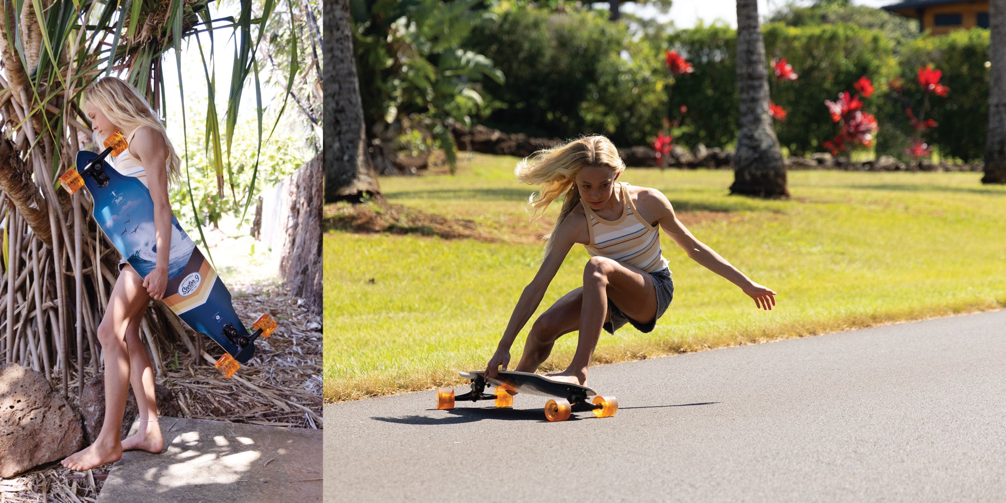 Premium Longboards, Skateboards, Decks, Trucks, Wheels